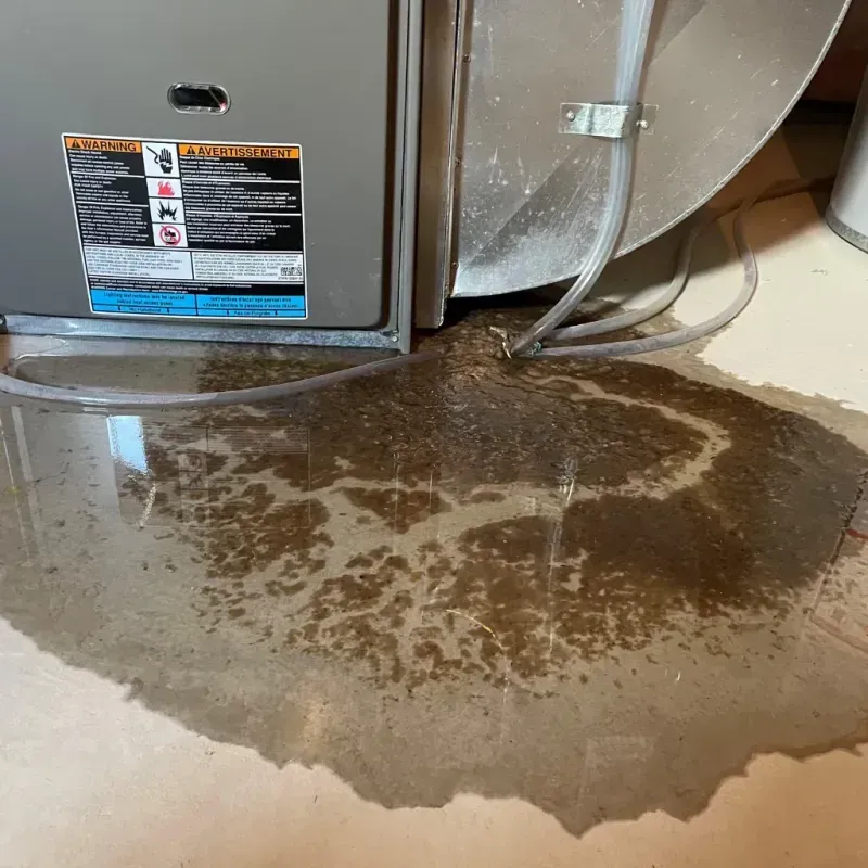 Appliance Leak Cleanup in Horse Shoe, NC